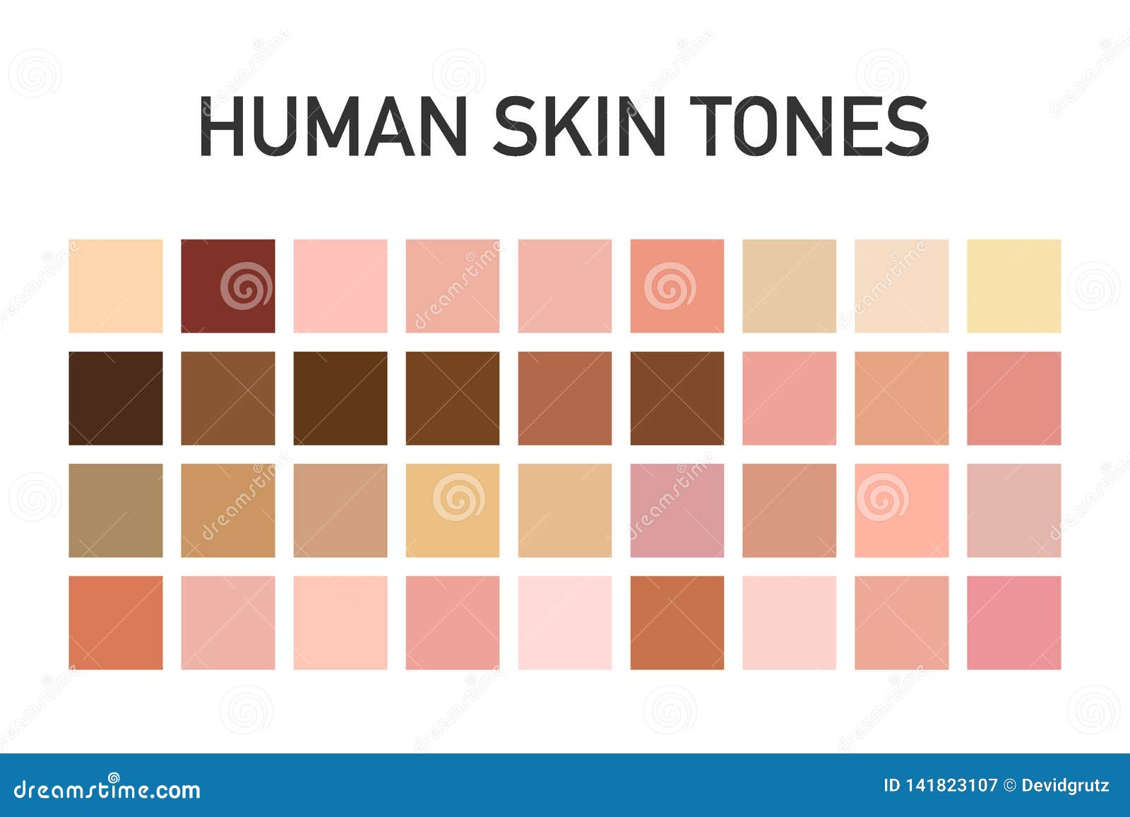 human skin tone color palette set  on transparent background. art .  .